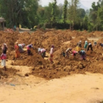 Renewable Push Accelerates as India Adds Record 44.5 GW Capacity in 2025