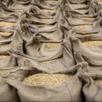 PM Modi Unveils ₹33,500 Crore Economic Corridor in Delhi