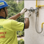 IndiGo Appoints Willie Walsh as CEO to Lead Next Growth Phase