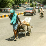 81.59 Lakh Trees Planted by Indian Railways in Major Green Initiative