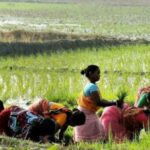 Important Decisions Taken by the Uttarakhand State Cabinet