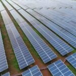 India’s Social Welfare and Renewable Energy Sectors Nearly Triple in a Decade, Says MoSPI