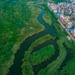 IndianOil Drives Yamuna River Conservation Campaign Under Swachhta Pakhwada in Delhi